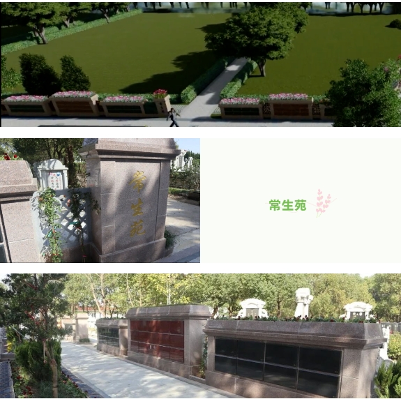 鸿运国际·(中国)集团-鸿运官网接待你