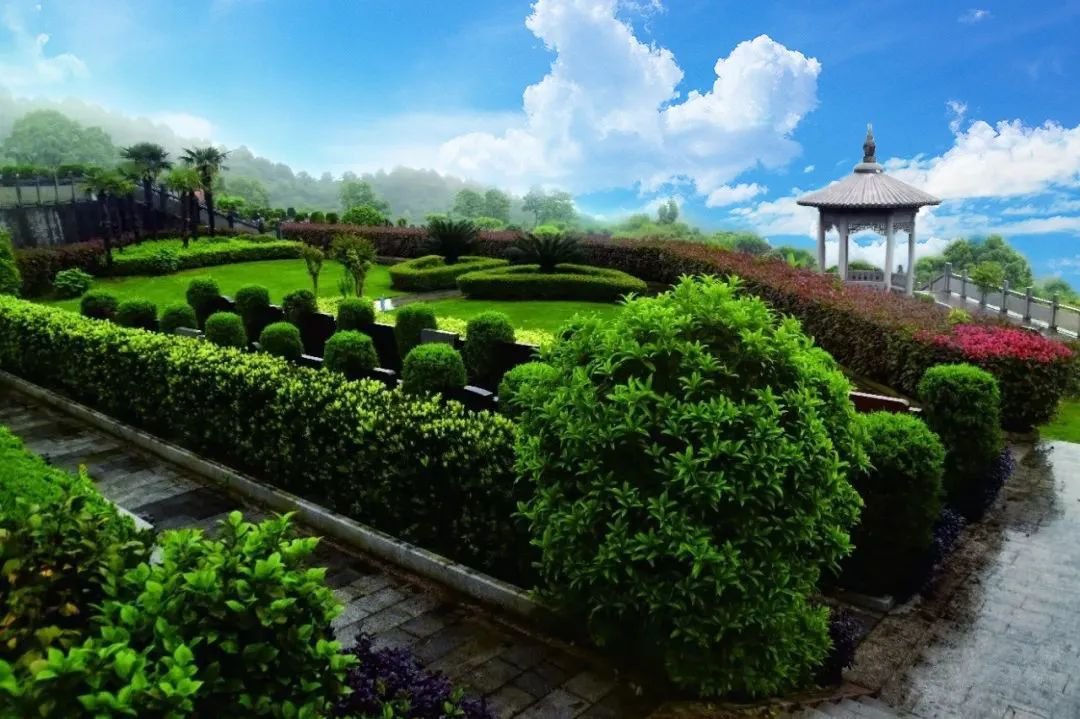 鸿运国际·(中国)集团-鸿运官网接待你