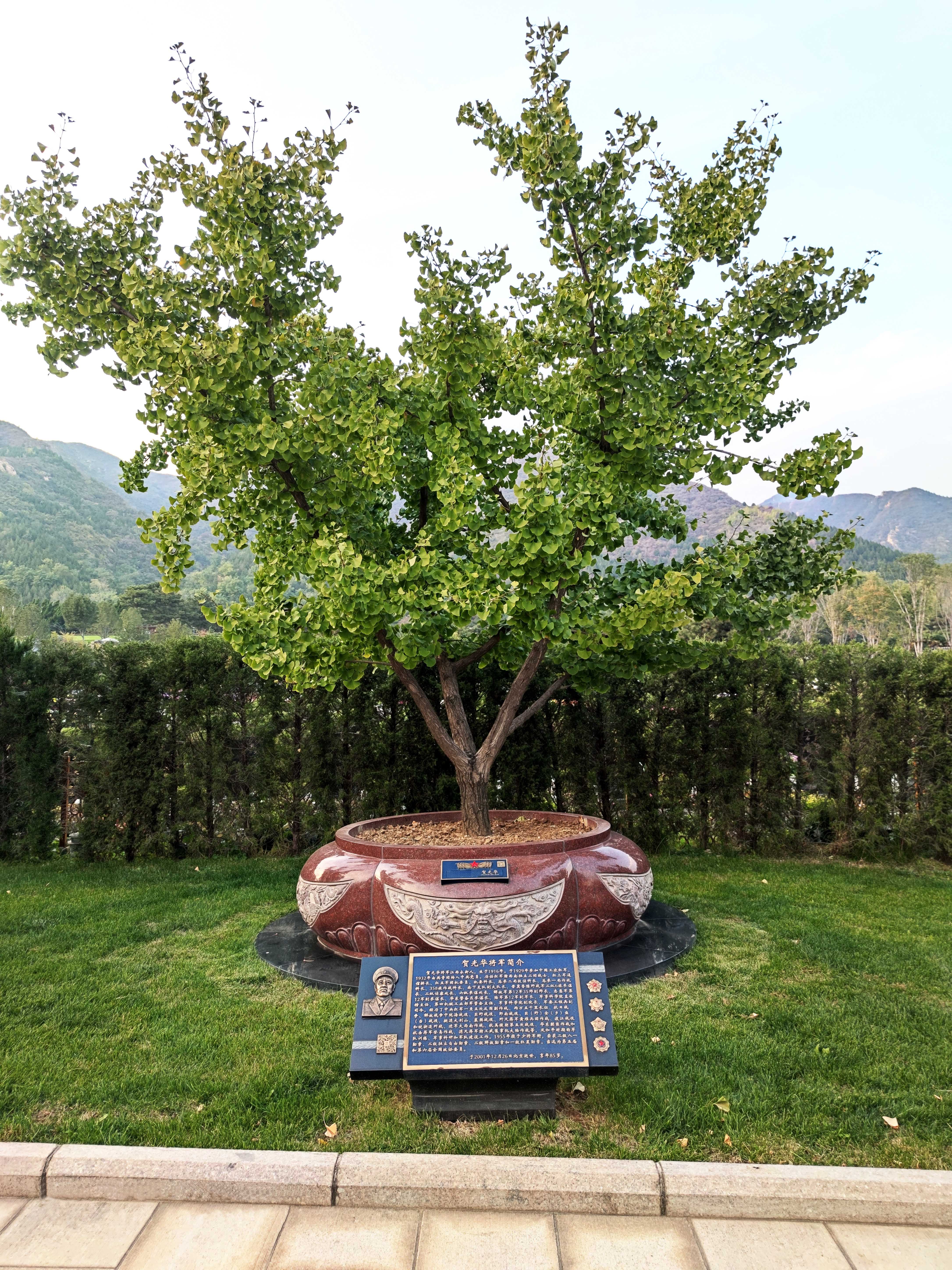 鸿运国际·(中国)集团-鸿运官网接待你