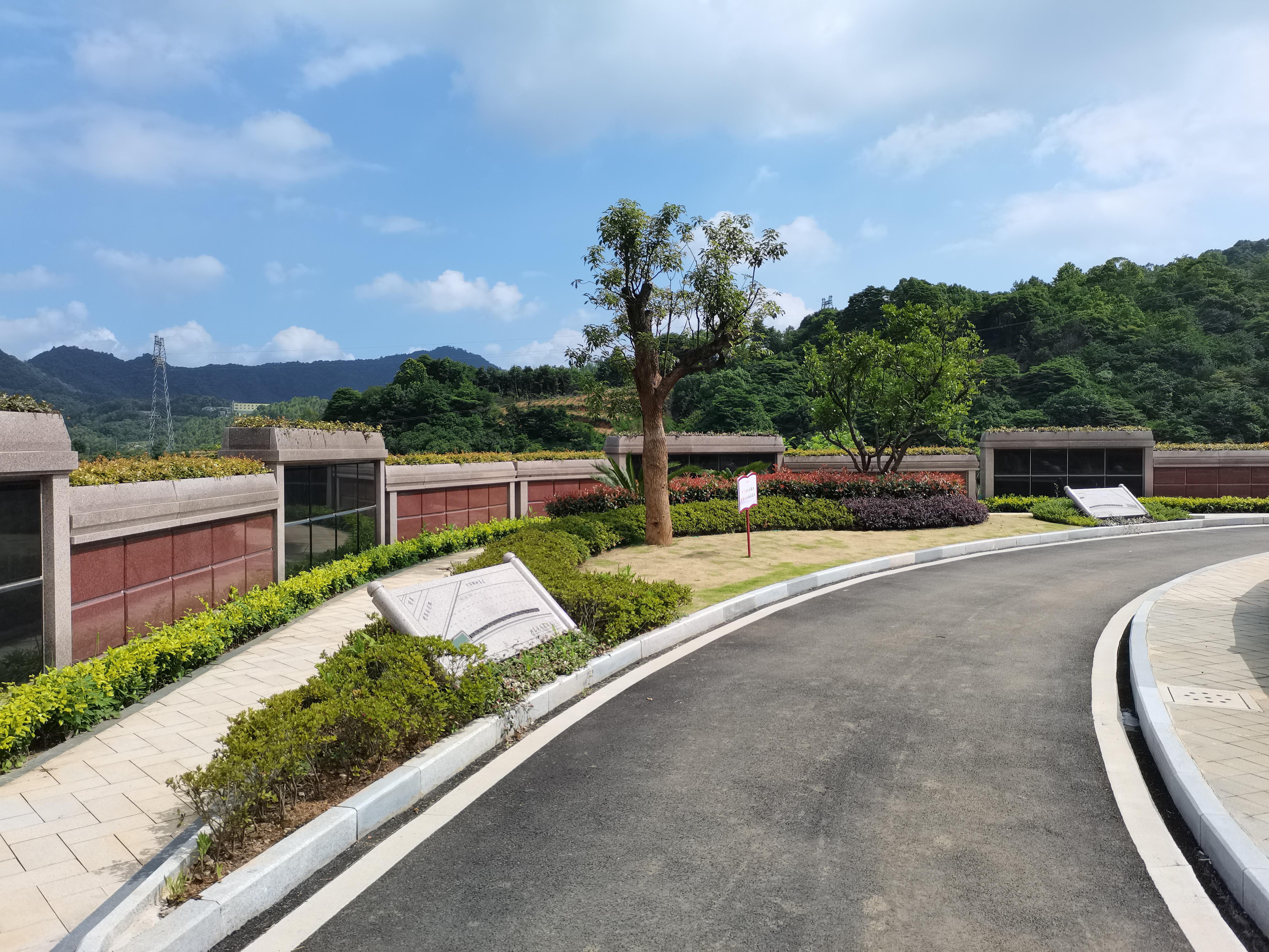 海葬和树葬哪个好？？？？？？两种生态葬祭方法的选择与意义