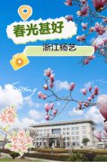 春分之韵|鸿运国际邀您共享春光
