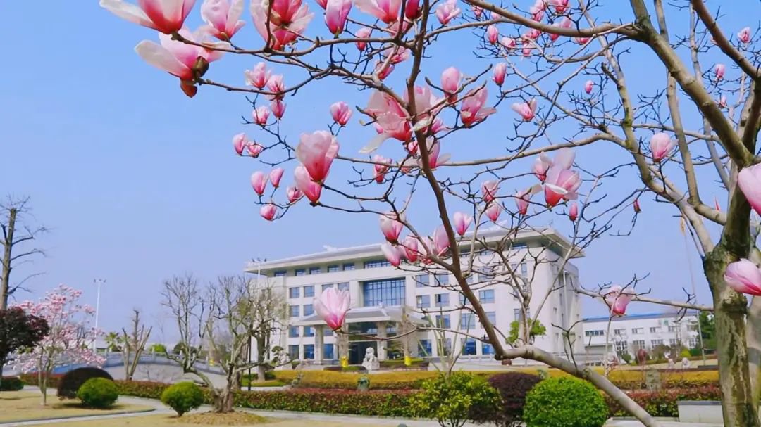 鸿运国际·(中国)集团-鸿运官网接待你