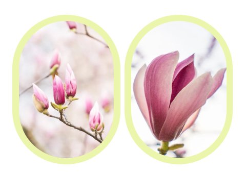 鸿运国际·(中国)集团-鸿运官网接待你