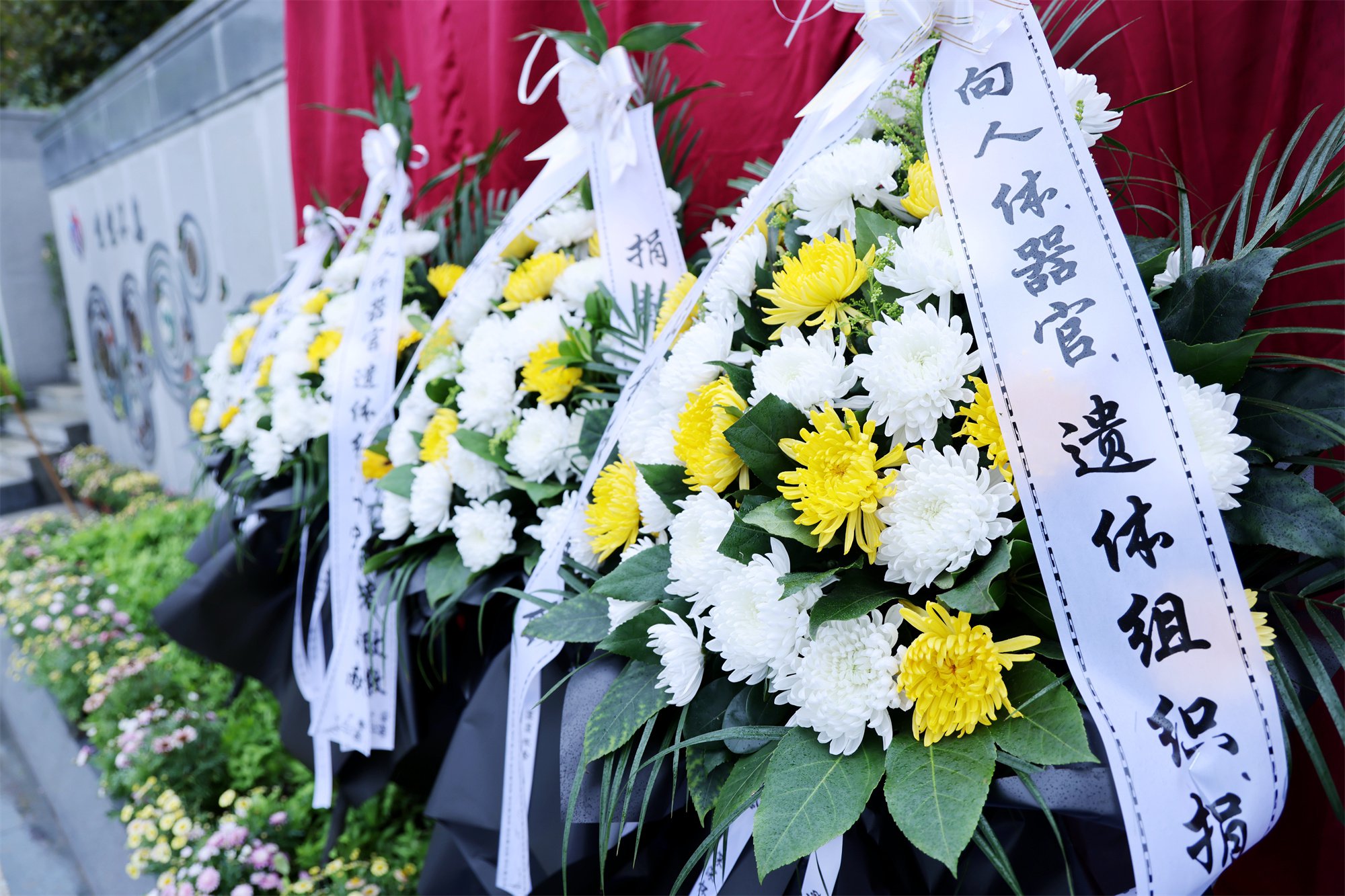 鸿运国际·(中国)集团-鸿运官网接待你