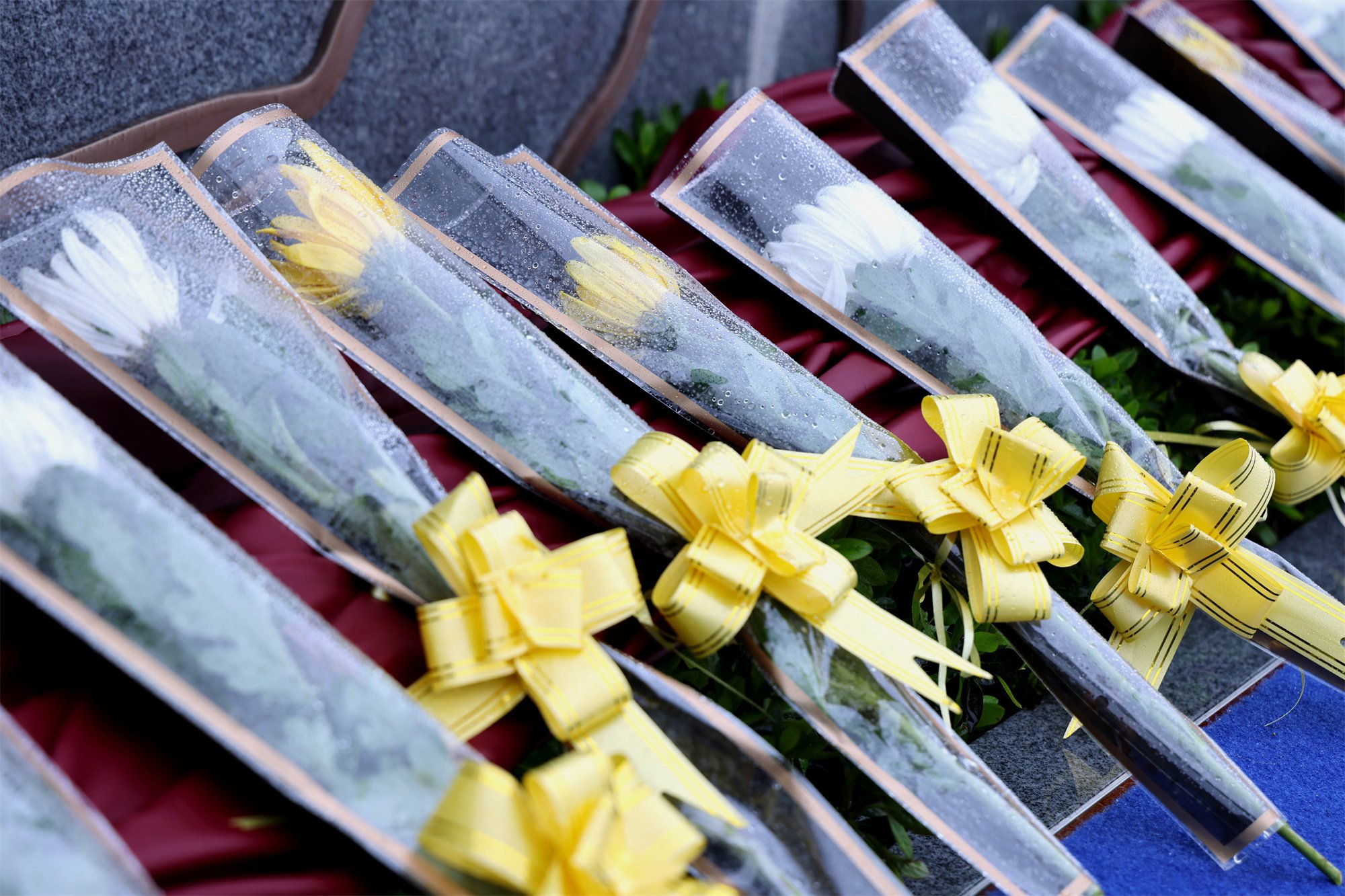 鸿运国际·(中国)集团-鸿运官网接待你