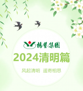 风起清明 遥寄相思|鸿运国际集团?2024清明篇