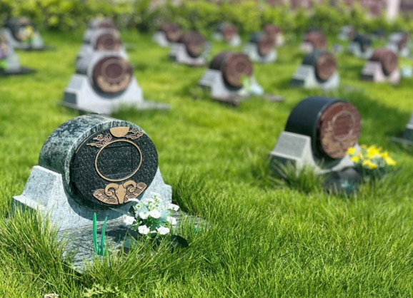 鸿运国际·(中国)集团-鸿运官网接待你