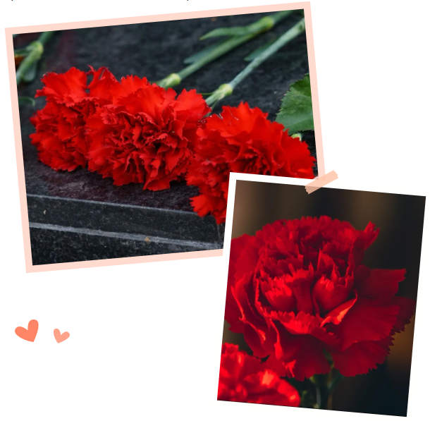 鸿运国际·(中国)集团-鸿运官网接待你