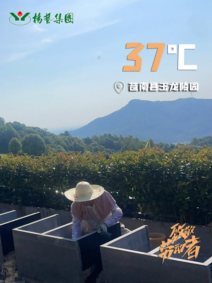 鸿运国际·(中国)集团-鸿运官网接待你