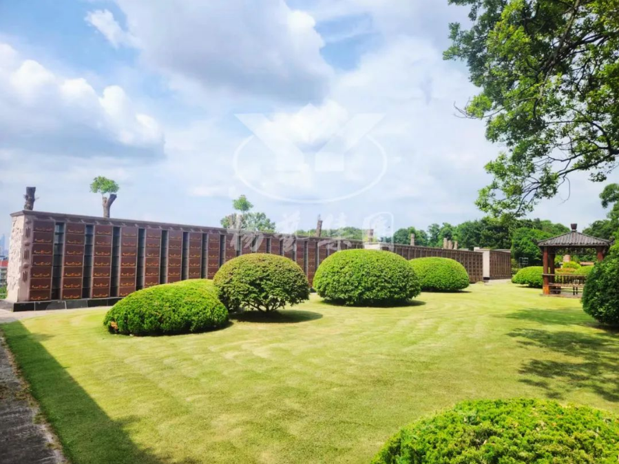 鸿运国际·(中国)集团-鸿运官网接待你