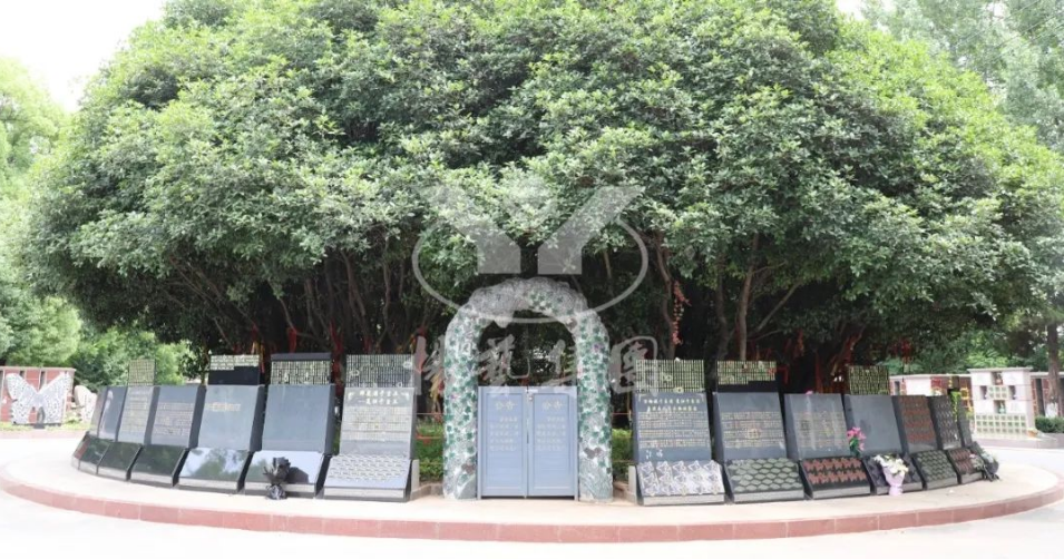 鸿运国际·(中国)集团-鸿运官网接待你