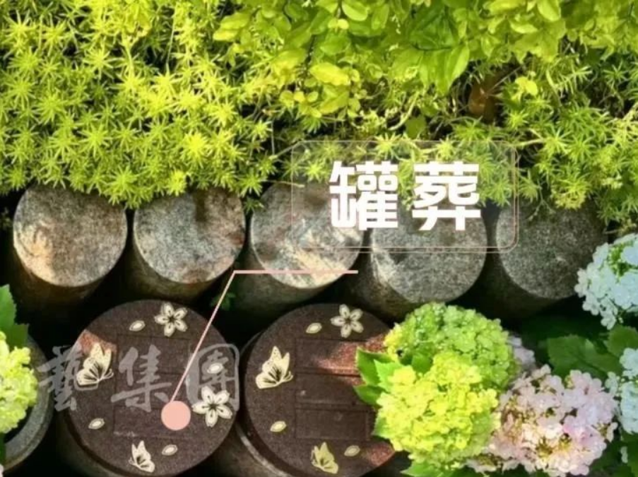 鸿运国际·(中国)集团-鸿运官网接待你