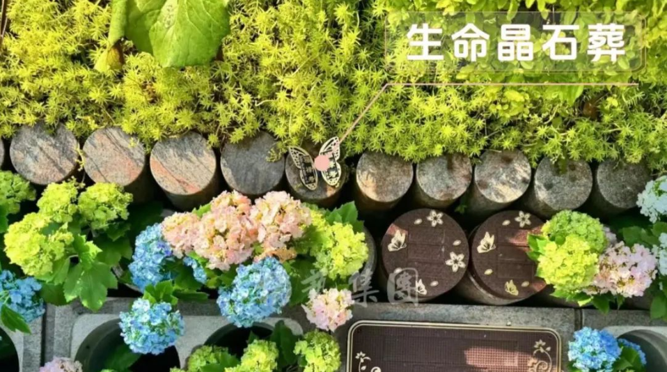 鸿运国际·(中国)集团-鸿运官网接待你