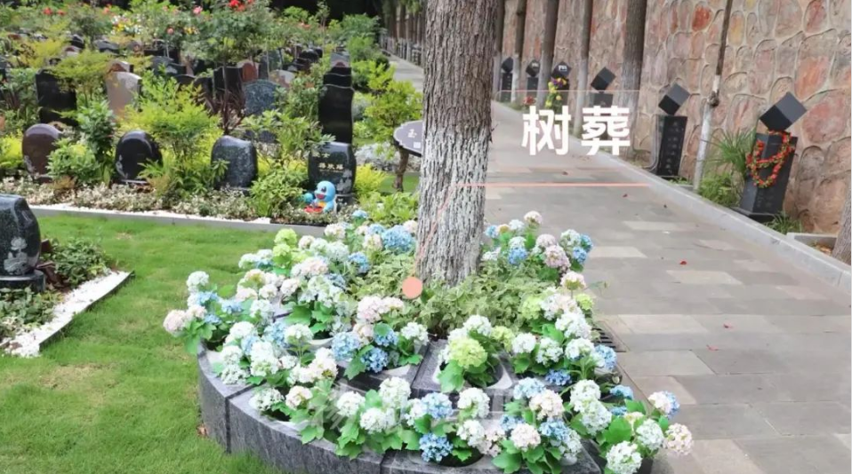 鸿运国际·(中国)集团-鸿运官网接待你