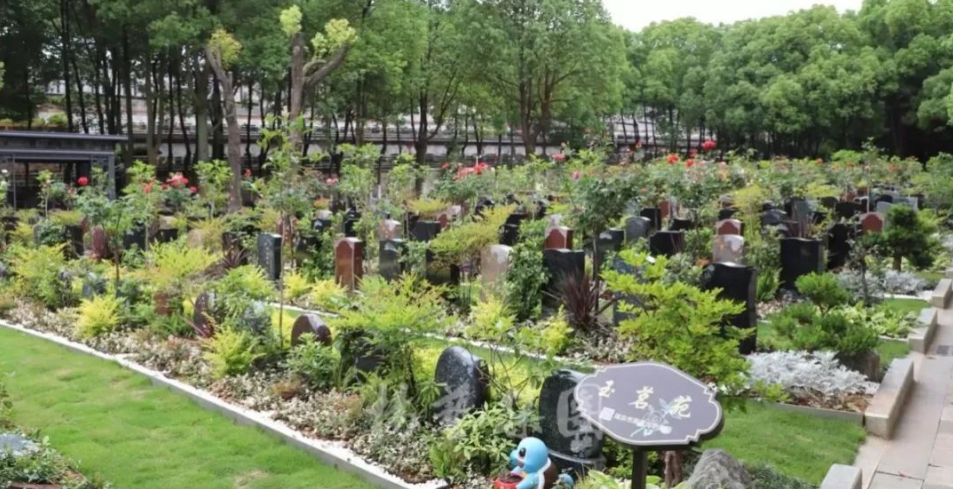 鸿运国际·(中国)集团-鸿运官网接待你