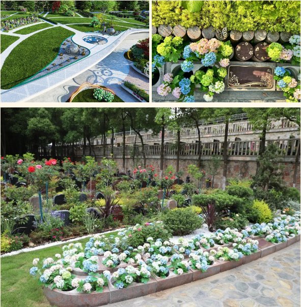 鸿运国际·(中国)集团-鸿运官网接待你