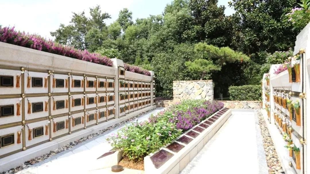 鸿运国际·(中国)集团-鸿运官网接待你