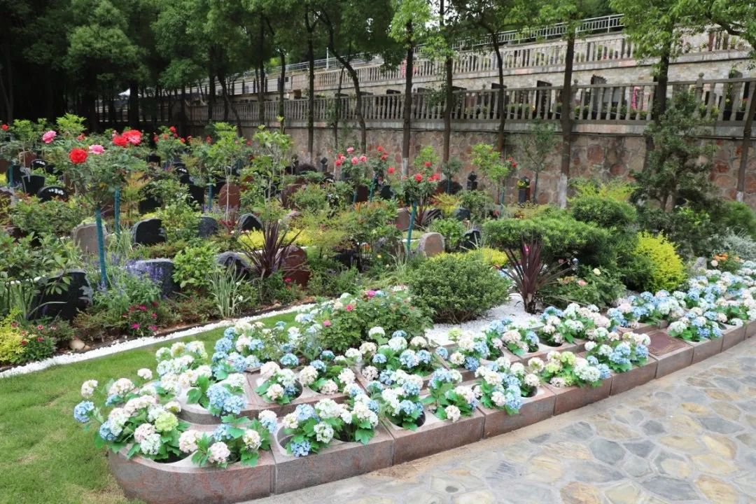 鸿运国际·(中国)集团-鸿运官网接待你