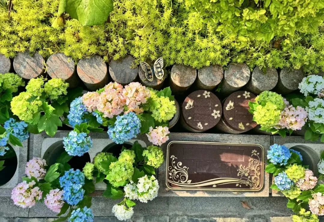 鸿运国际·(中国)集团-鸿运官网接待你