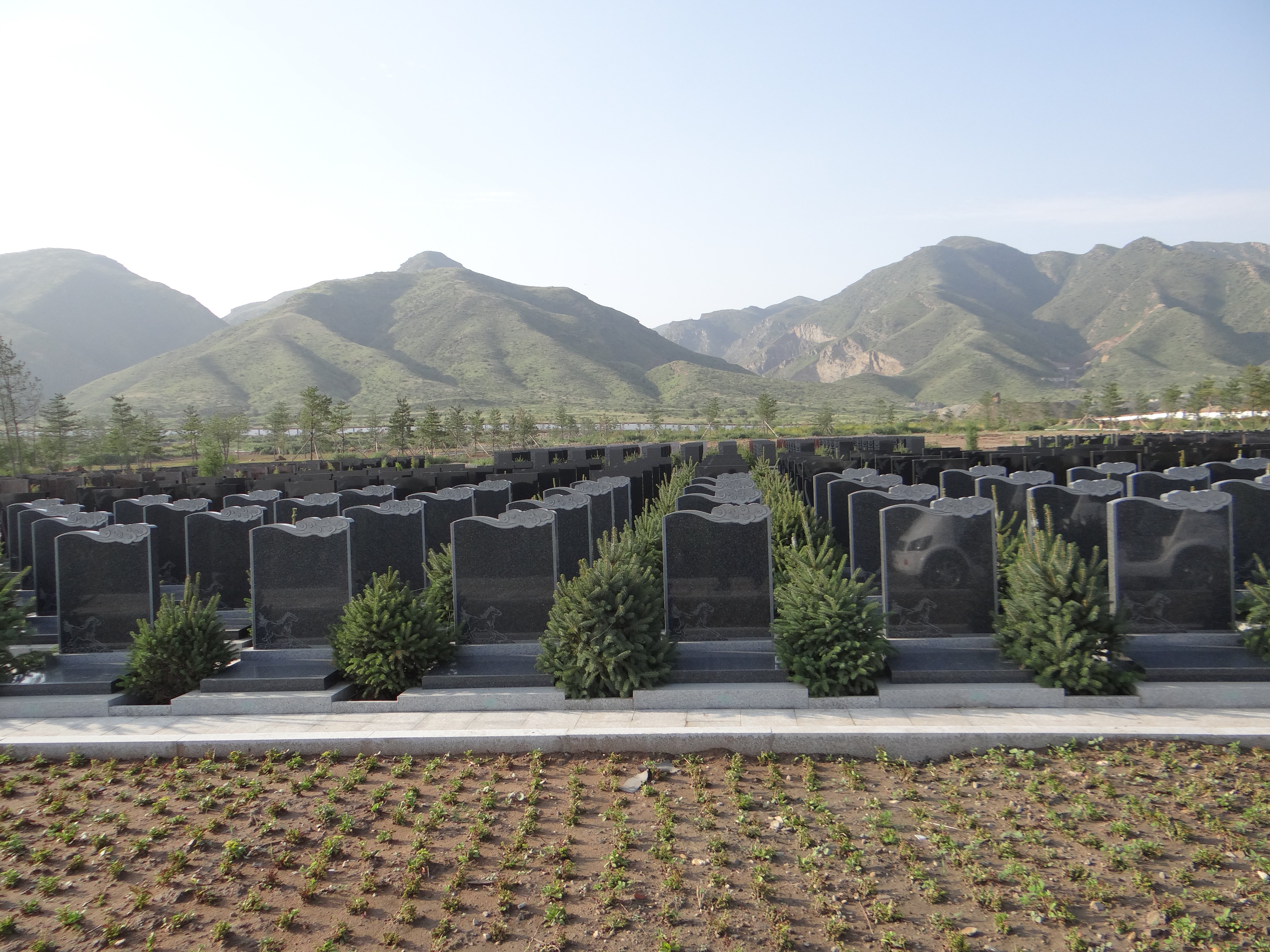 鸿运国际·(中国)集团-鸿运官网接待你