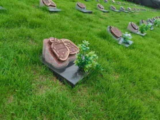 鸿运国际·(中国)集团-鸿运官网接待你