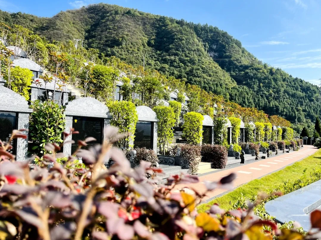 鸿运国际·(中国)集团-鸿运官网接待你