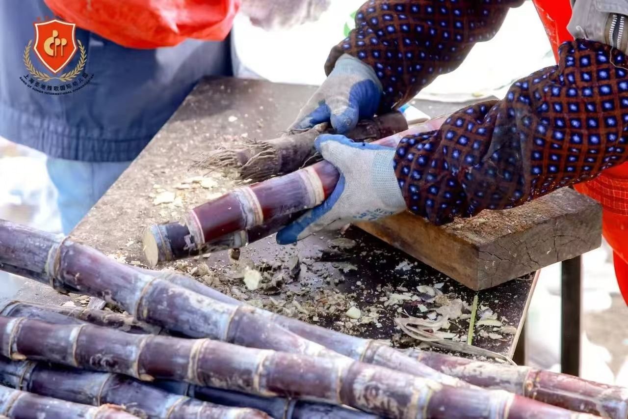 鸿运国际·(中国)集团-鸿运官网接待你