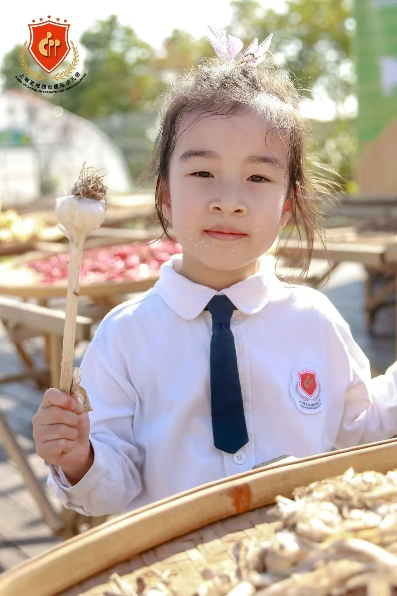鸿运国际·(中国)集团-鸿运官网接待你