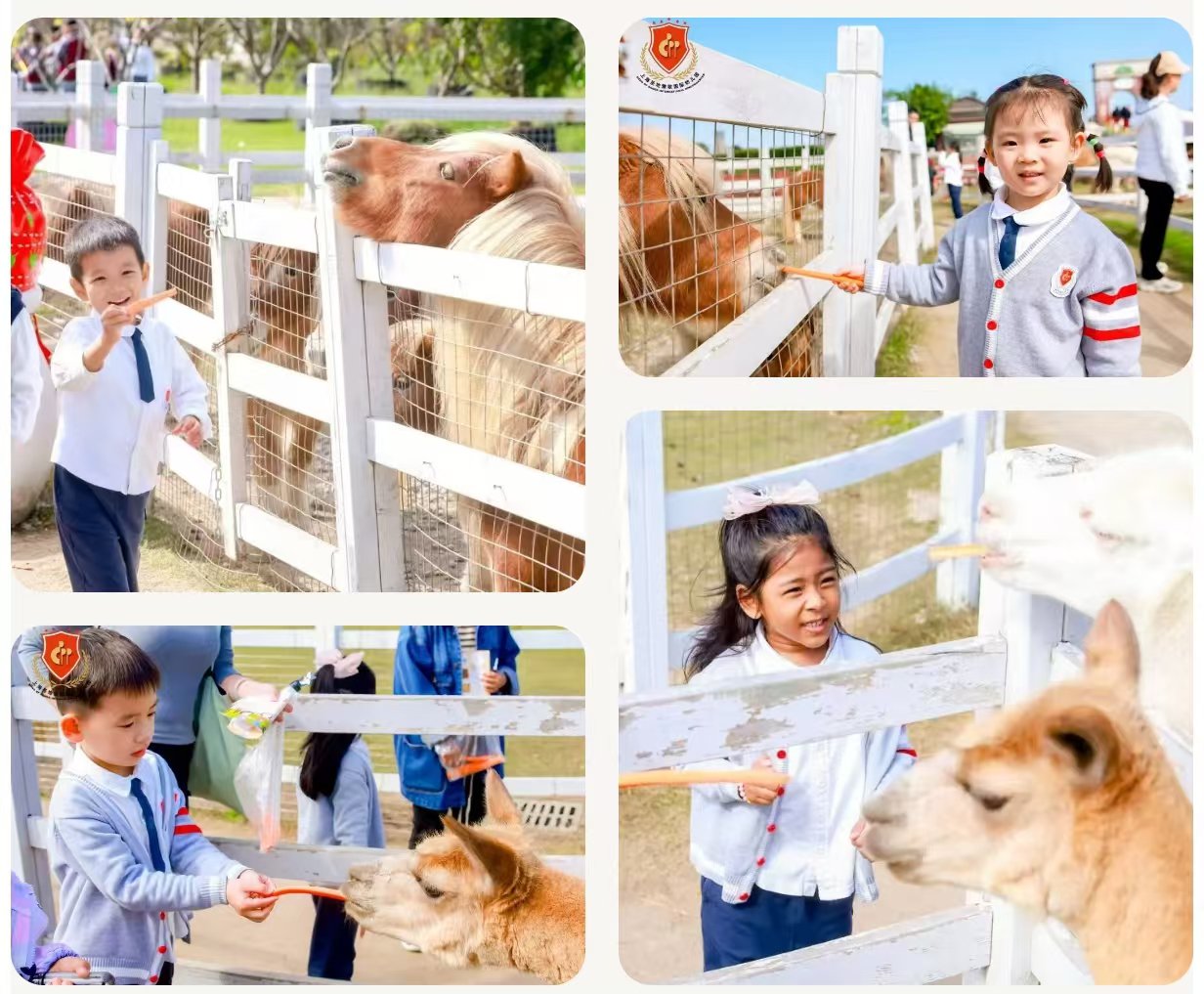 鸿运国际·(中国)集团-鸿运官网接待你