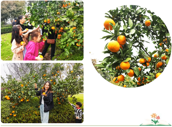 鸿运国际·(中国)集团-鸿运官网接待你