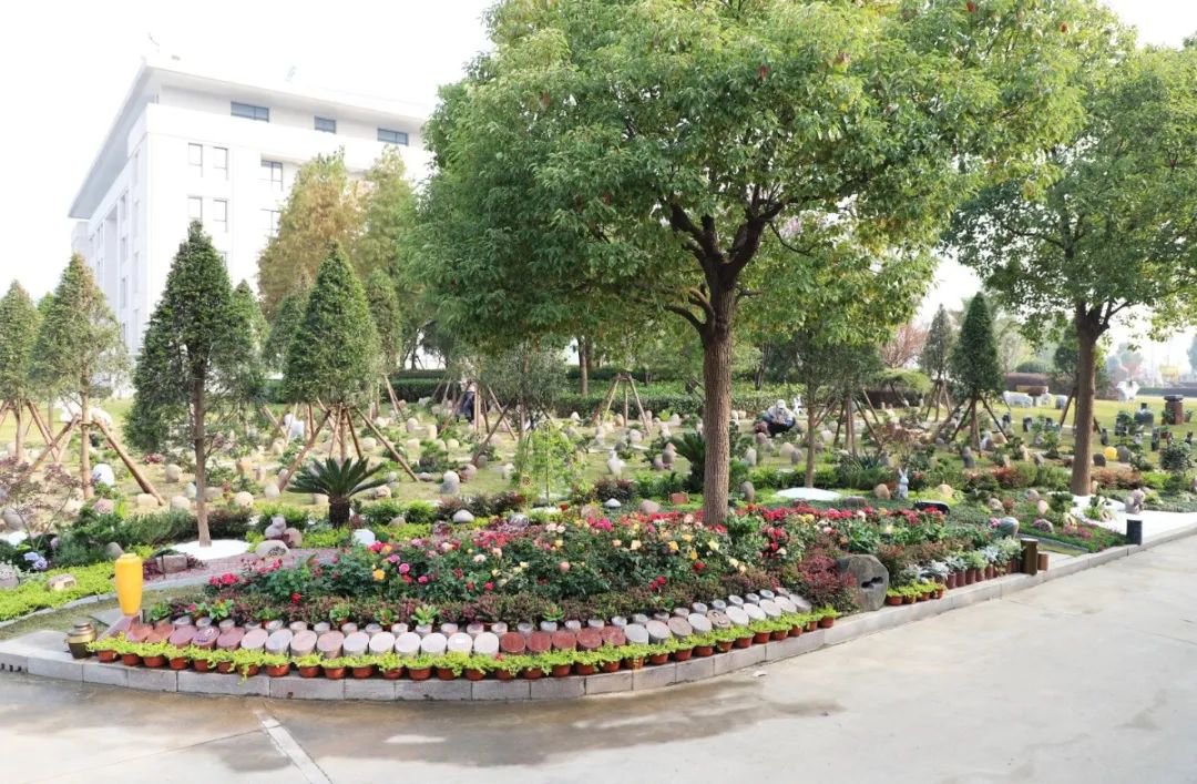 鸿运国际·(中国)集团-鸿运官网接待你