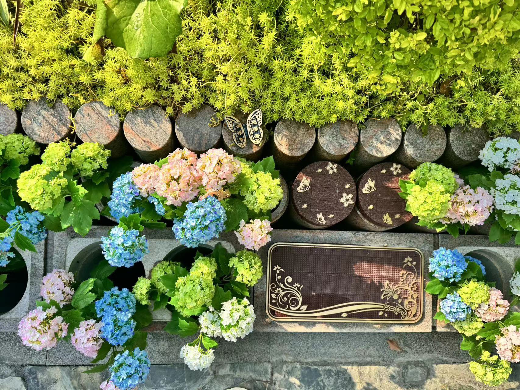 鸿运国际·(中国)集团-鸿运官网接待你