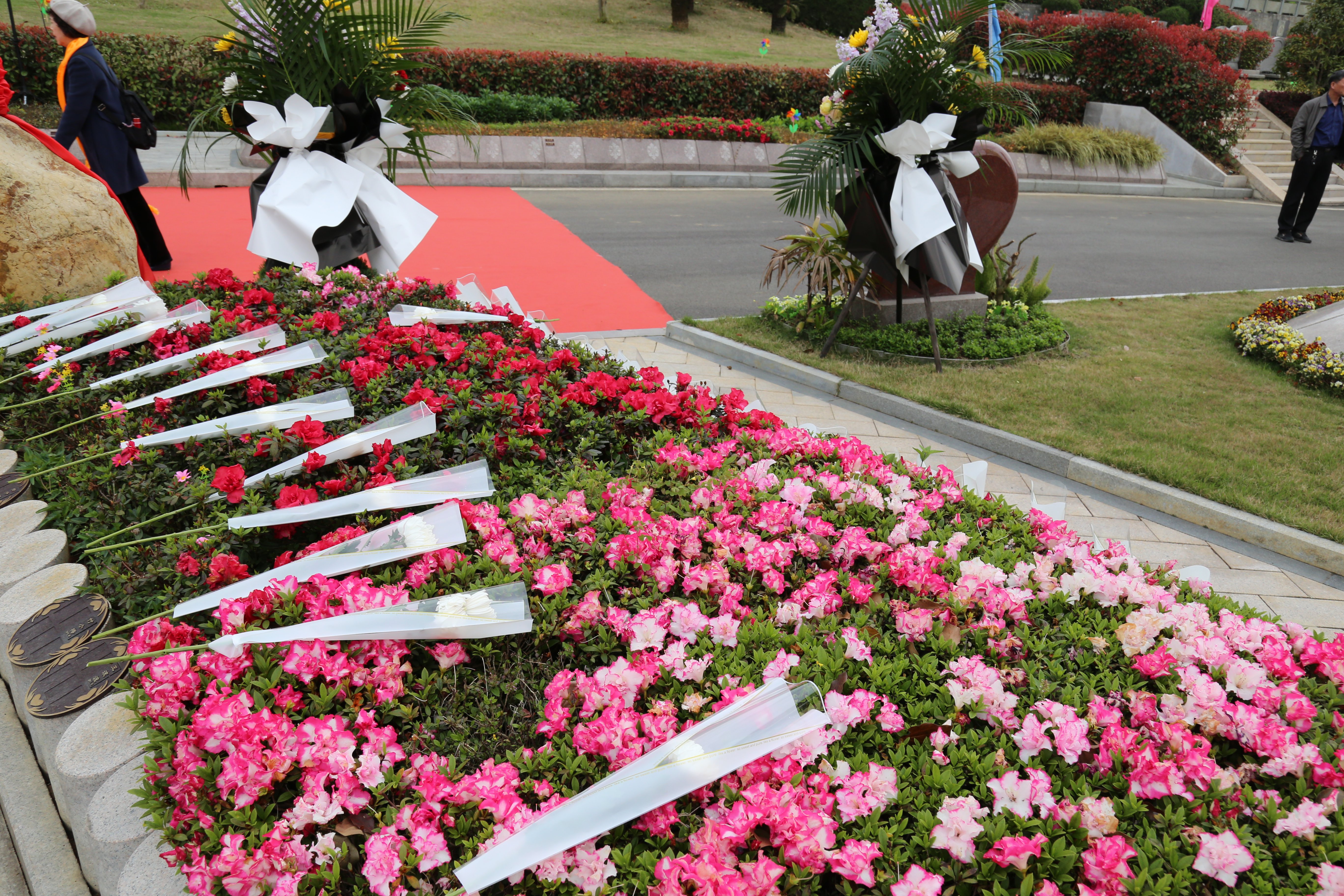 鸿运国际·(中国)集团-鸿运官网接待你