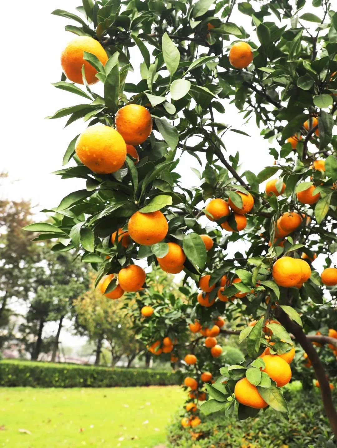 鸿运国际·(中国)集团-鸿运官网接待你