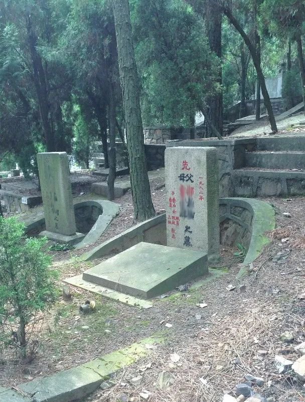 鸿运国际·(中国)集团-鸿运官网接待你