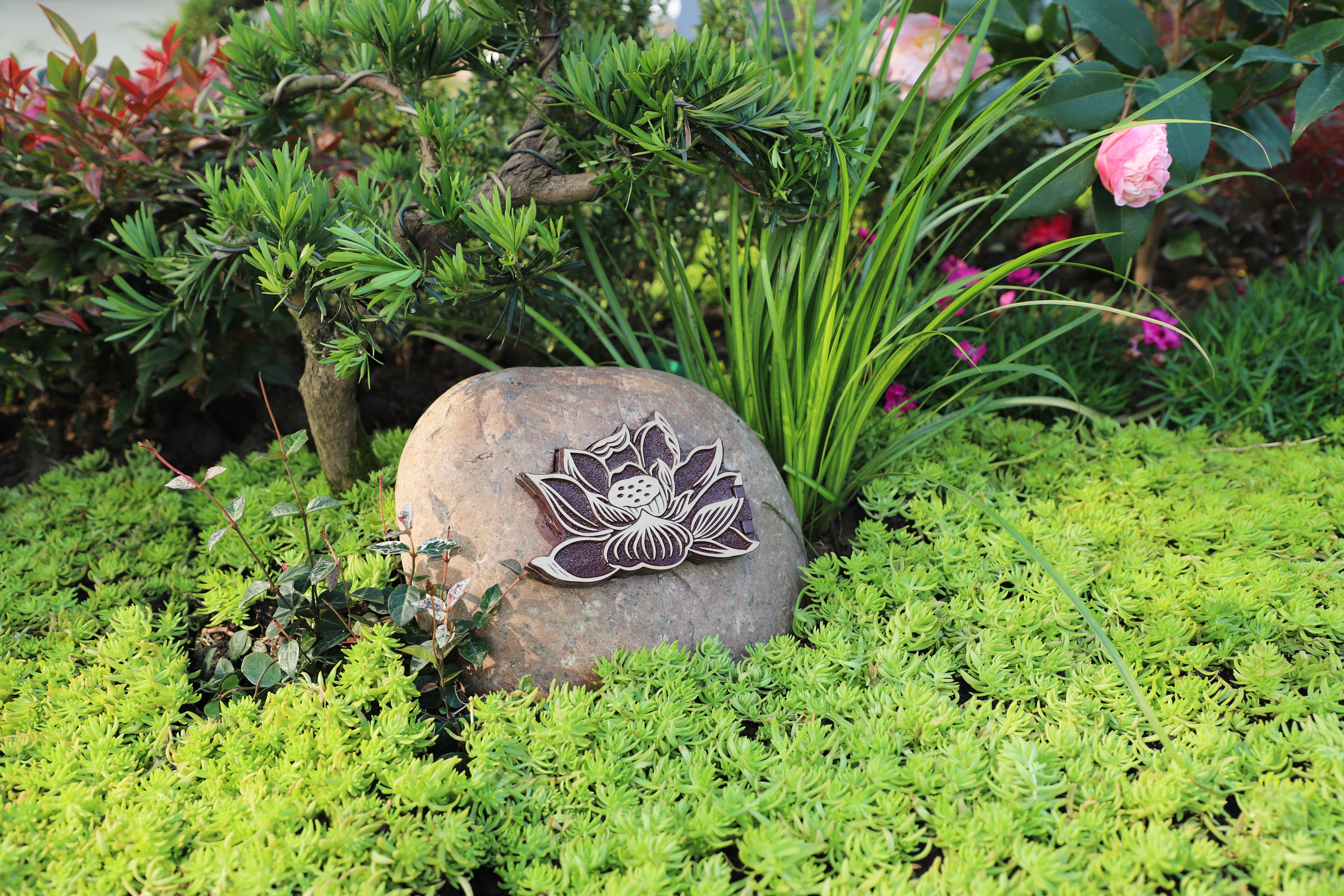 鸿运国际·(中国)集团-鸿运官网接待你