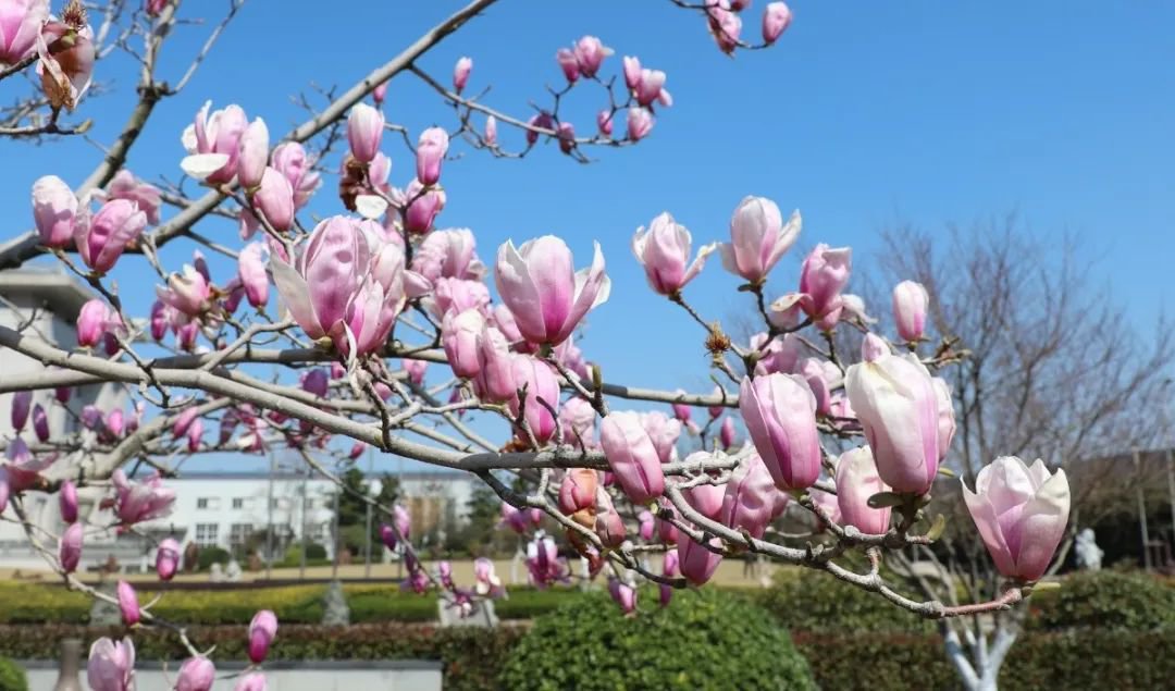 鸿运国际·(中国)集团-鸿运官网接待你
