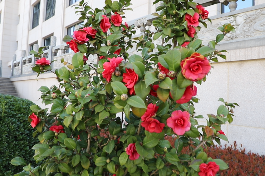 鸿运国际·(中国)集团-鸿运官网接待你