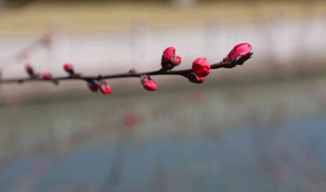 鸿运国际·(中国)集团-鸿运官网接待你