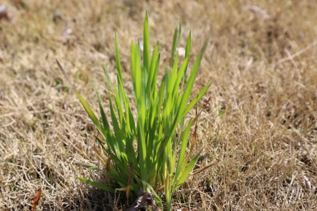 鸿运国际·(中国)集团-鸿运官网接待你