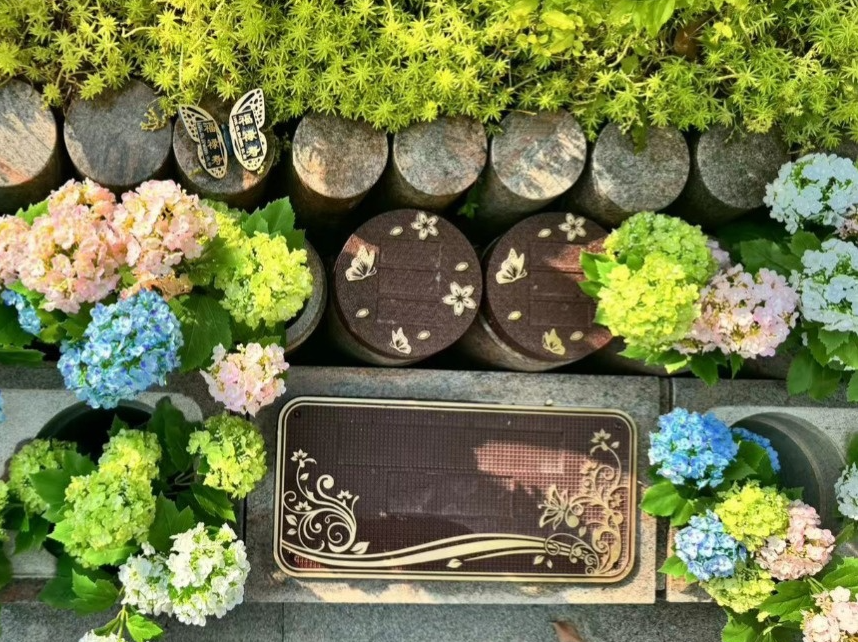 鸿运国际·(中国)集团-鸿运官网接待你