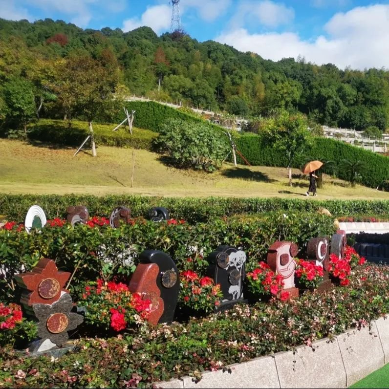 鸿运国际·(中国)集团-鸿运官网接待你