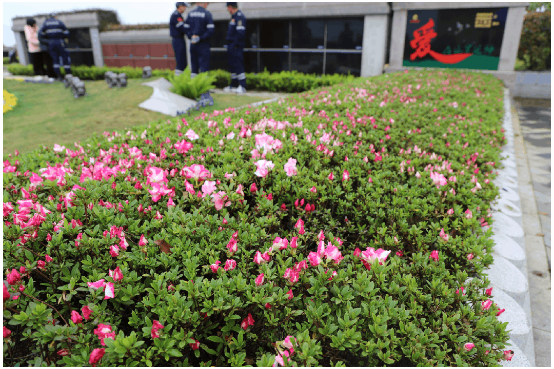 鸿运国际·(中国)集团-鸿运官网接待你