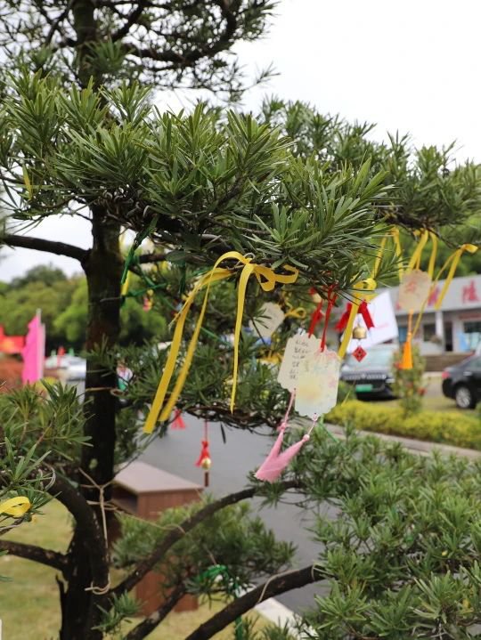 鸿运国际·(中国)集团-鸿运官网接待你