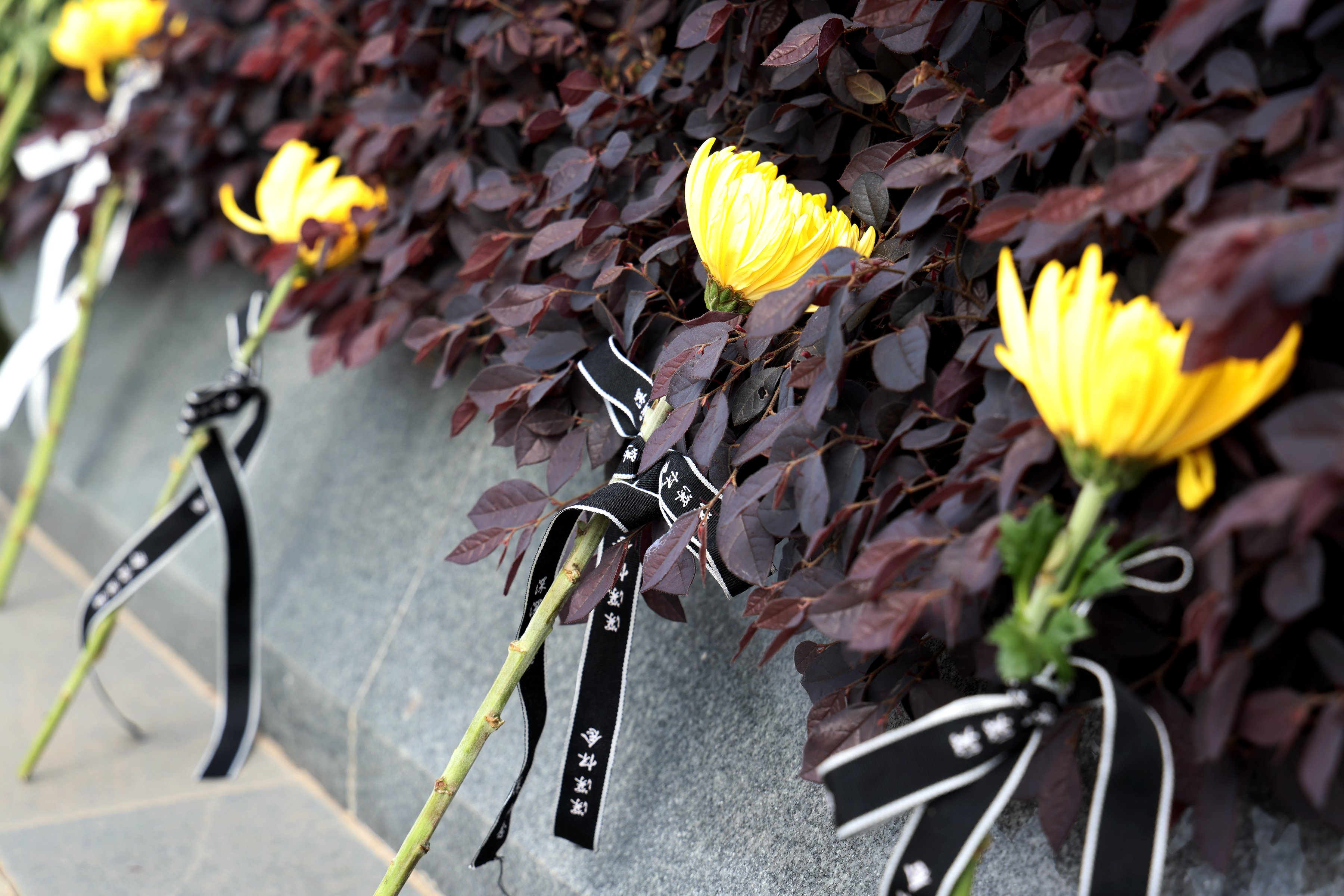 鸿运国际·(中国)集团-鸿运官网接待你