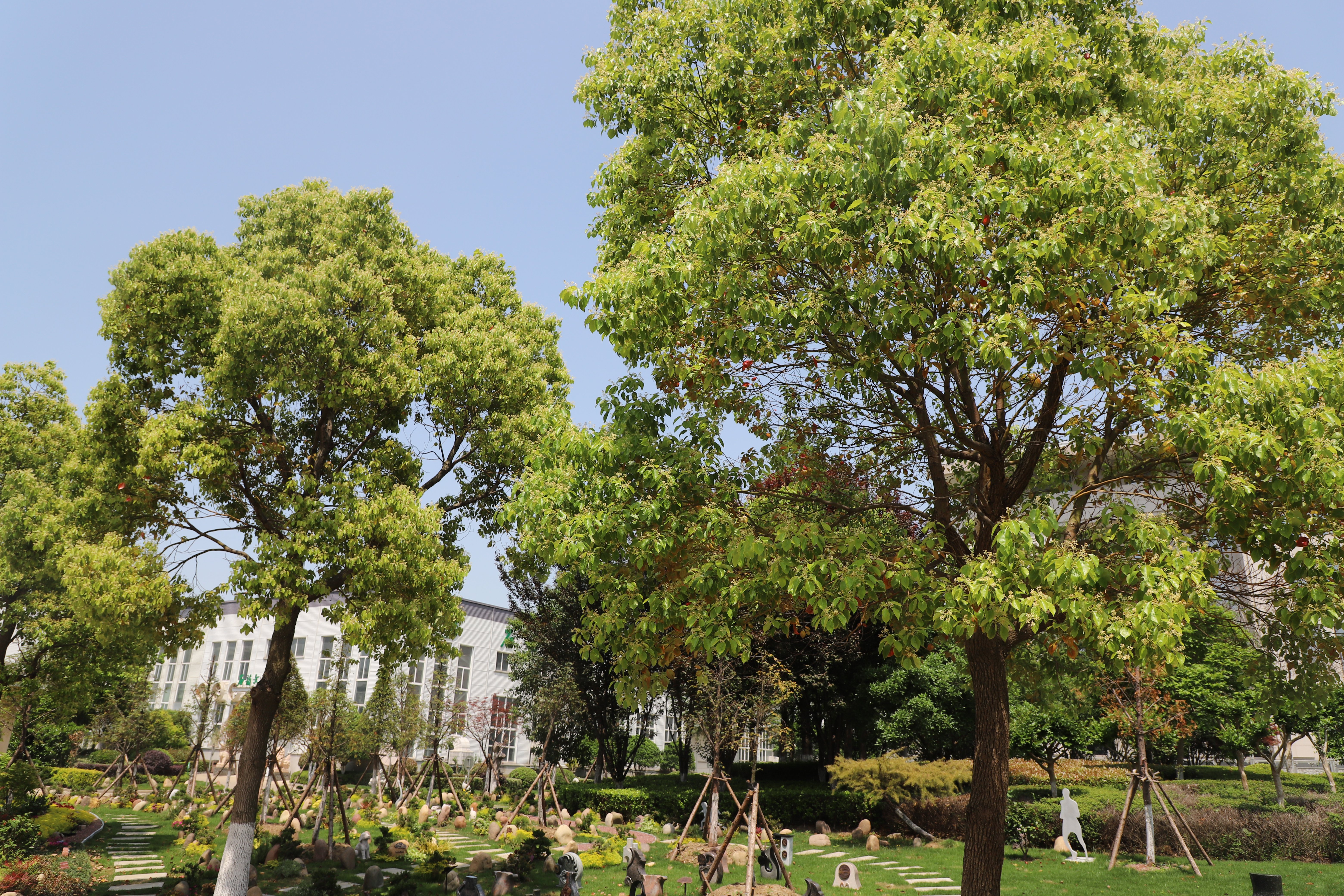 鸿运国际·(中国)集团-鸿运官网接待你