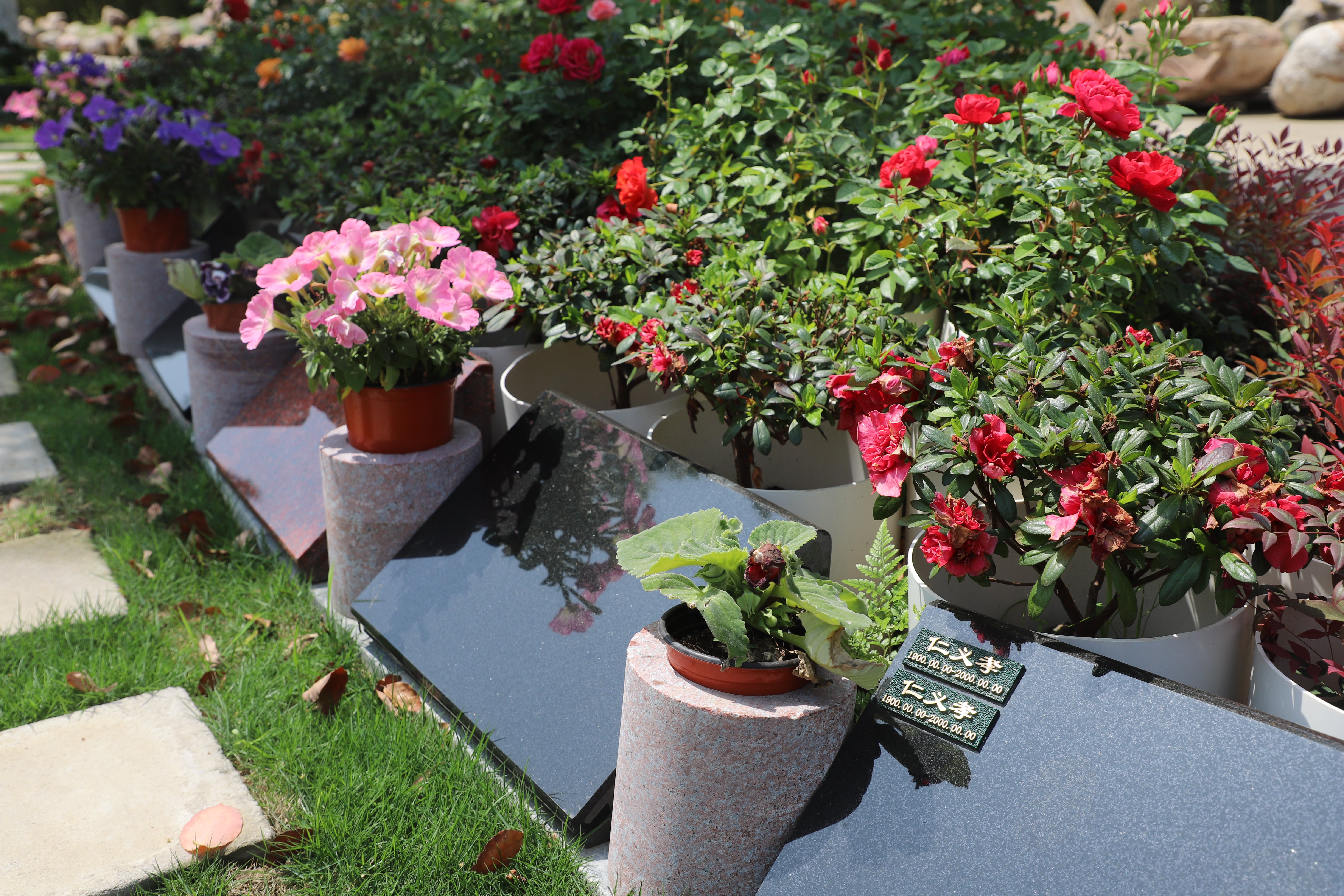 鸿运国际·(中国)集团-鸿运官网接待你