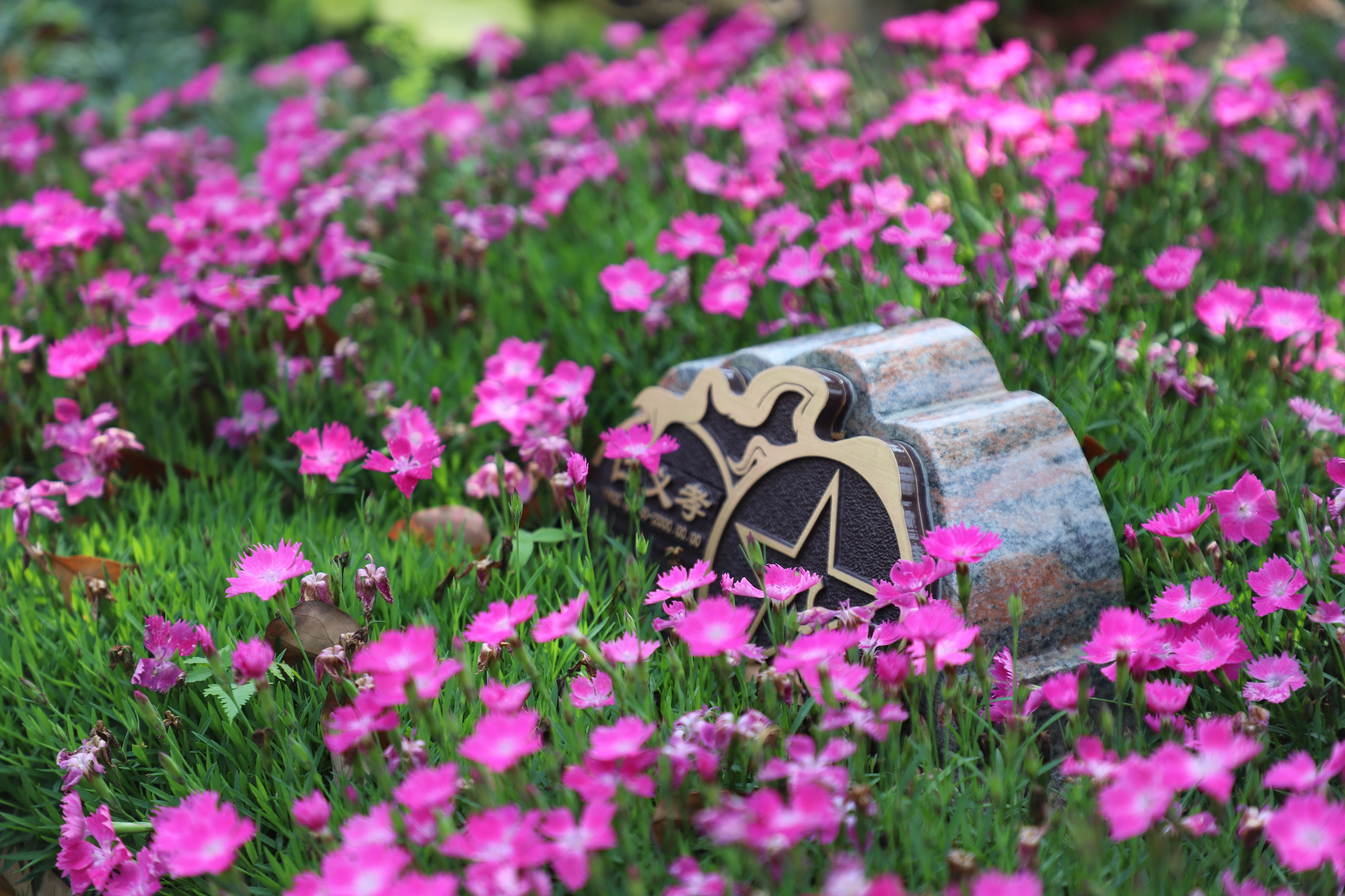 鸿运国际·(中国)集团-鸿运官网接待你