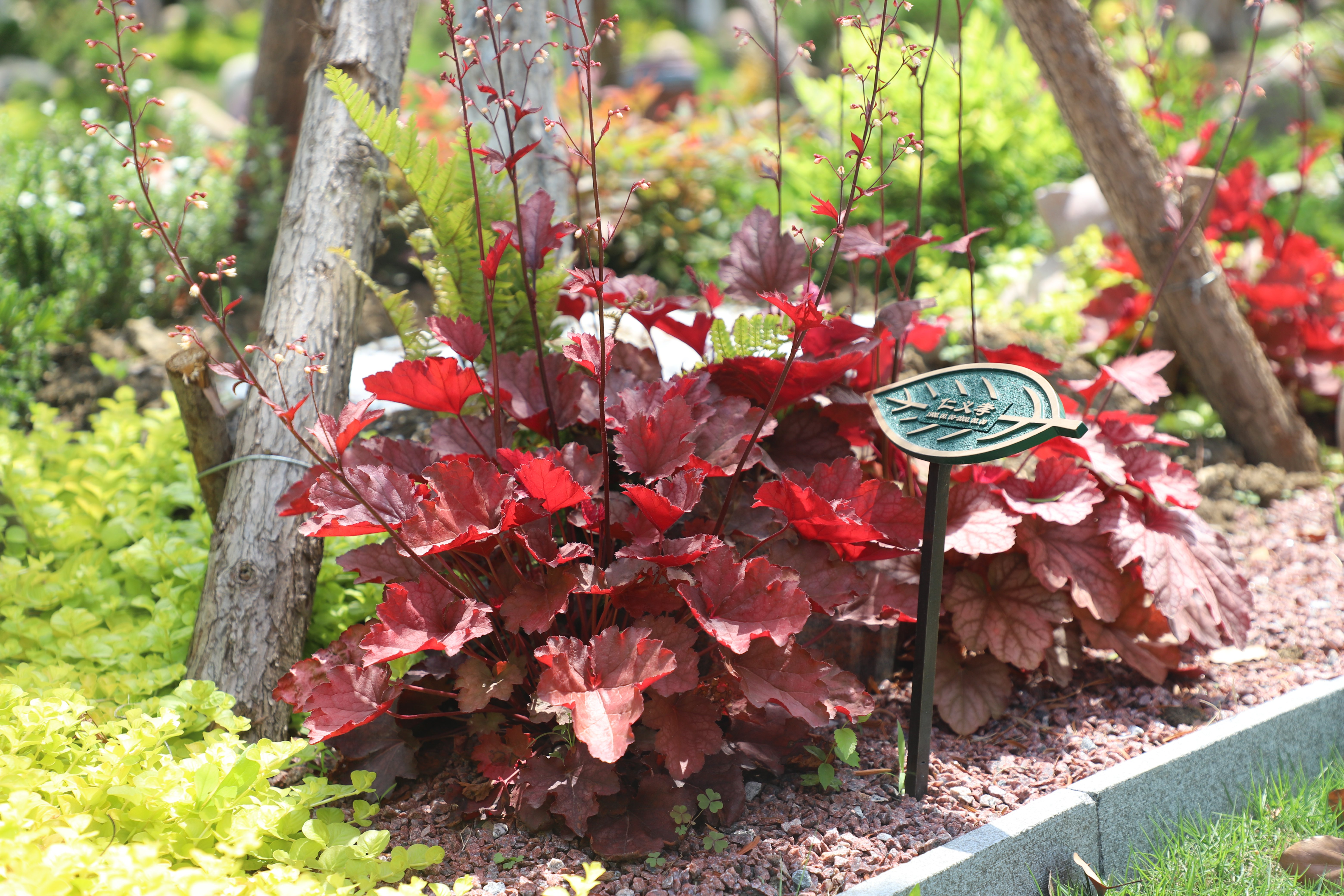 鸿运国际·(中国)集团-鸿运官网接待你