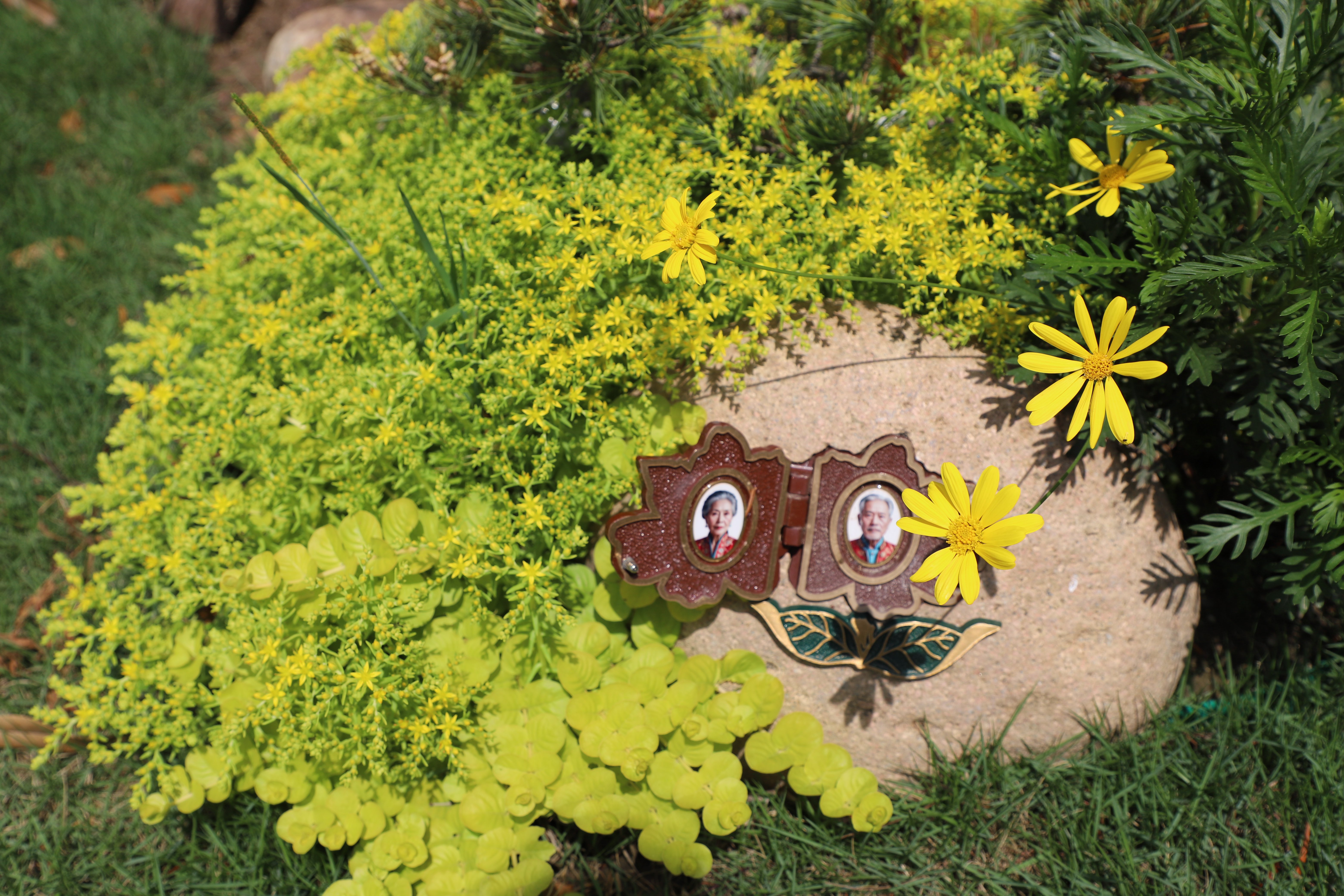 鸿运国际·(中国)集团-鸿运官网接待你